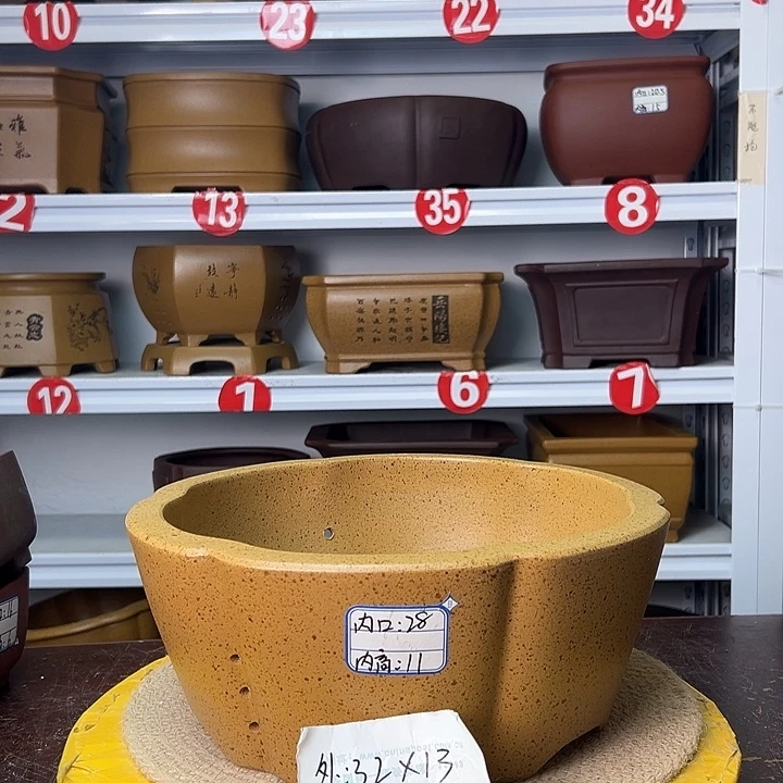 花盆紫砂你在一起