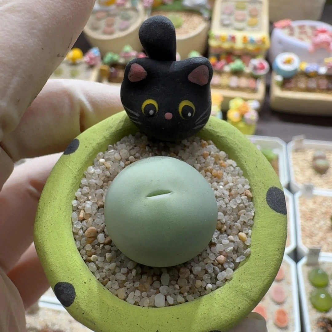0923-053连盆带花鸽子蛋