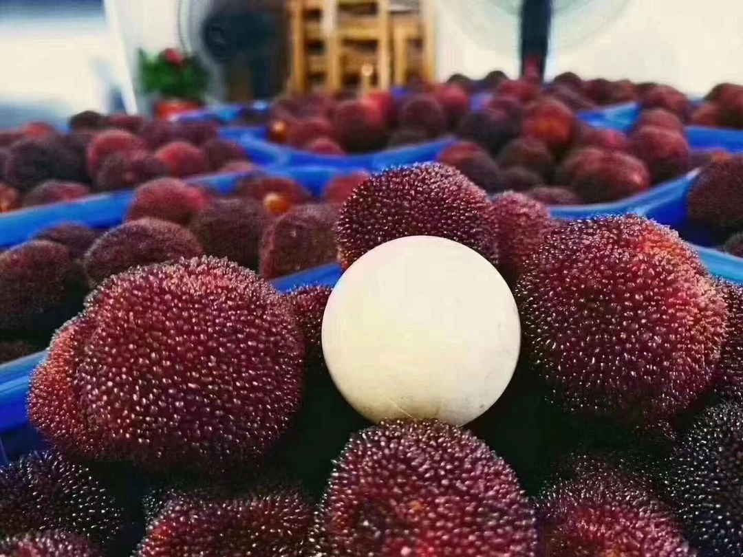 送礼正宗[仙居东魁杨梅9A]新鲜当晚采摘超甜鲜果孕妇水果