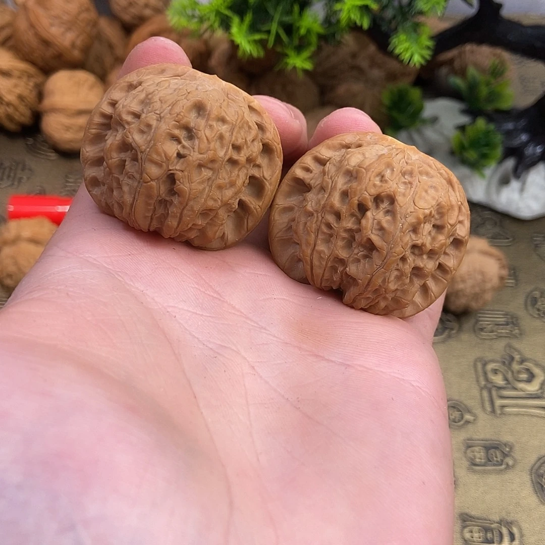 核桃血麒麟41尺寸编号477坐得住满肉爆肉直底上色快血红色