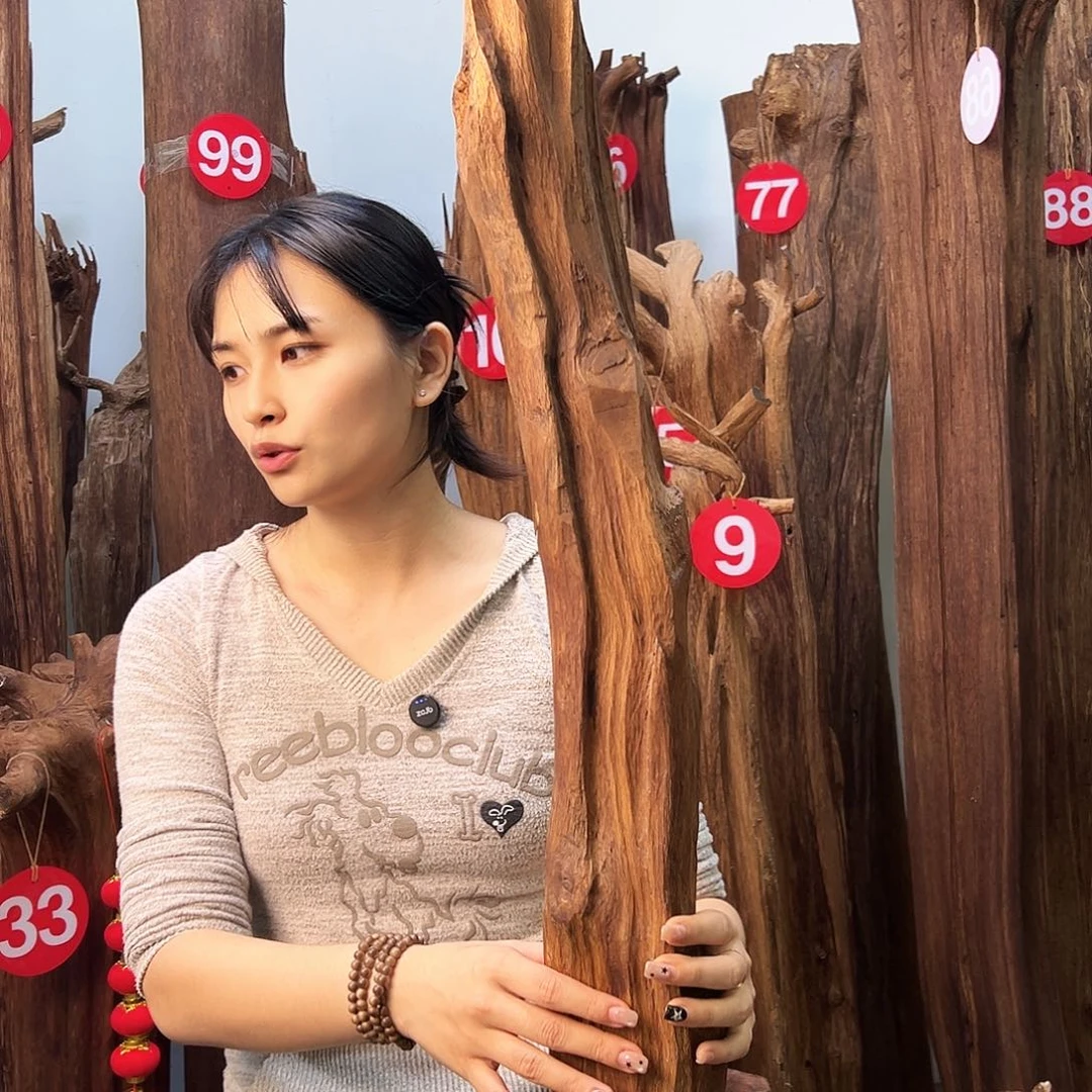 沉香碎屑沉香天然沉香原料香料