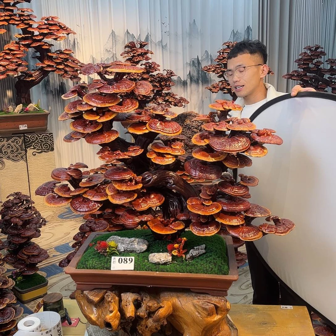 无花朵88888888888