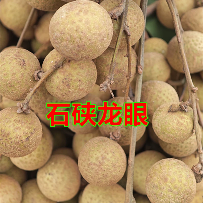石硖龙眼广西当季水果爆甜脆嫩龙眼石硖新鲜果园现摘发货5斤包邮