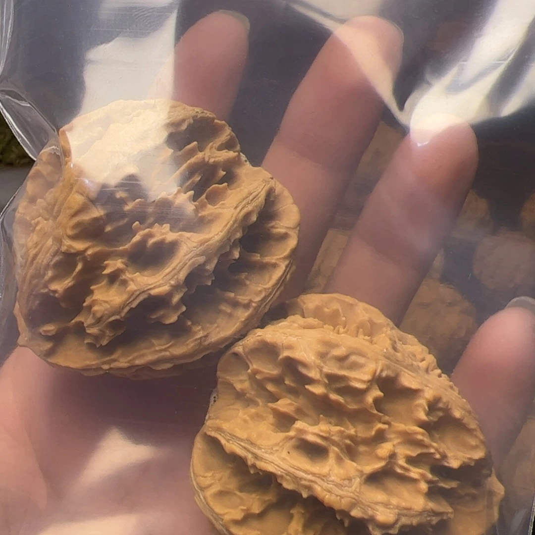文玩核桃把件剑*秦岭野生文玩核桃
