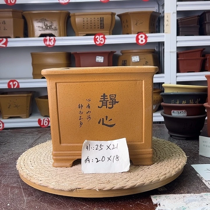 紫砂花盆蛇年大吉
