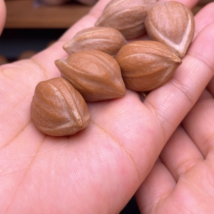 孔***雀橄榄核手串/手链橄榄核油核2.0左右