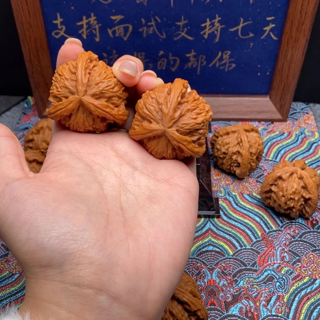 【闪购商品】艾**年白狮