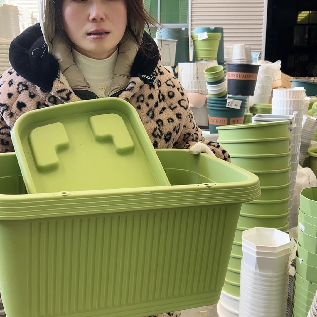 菜盆500#果绿3个（含托）