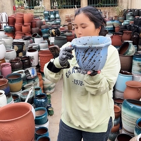 口21高15瑕疵一个盆子。