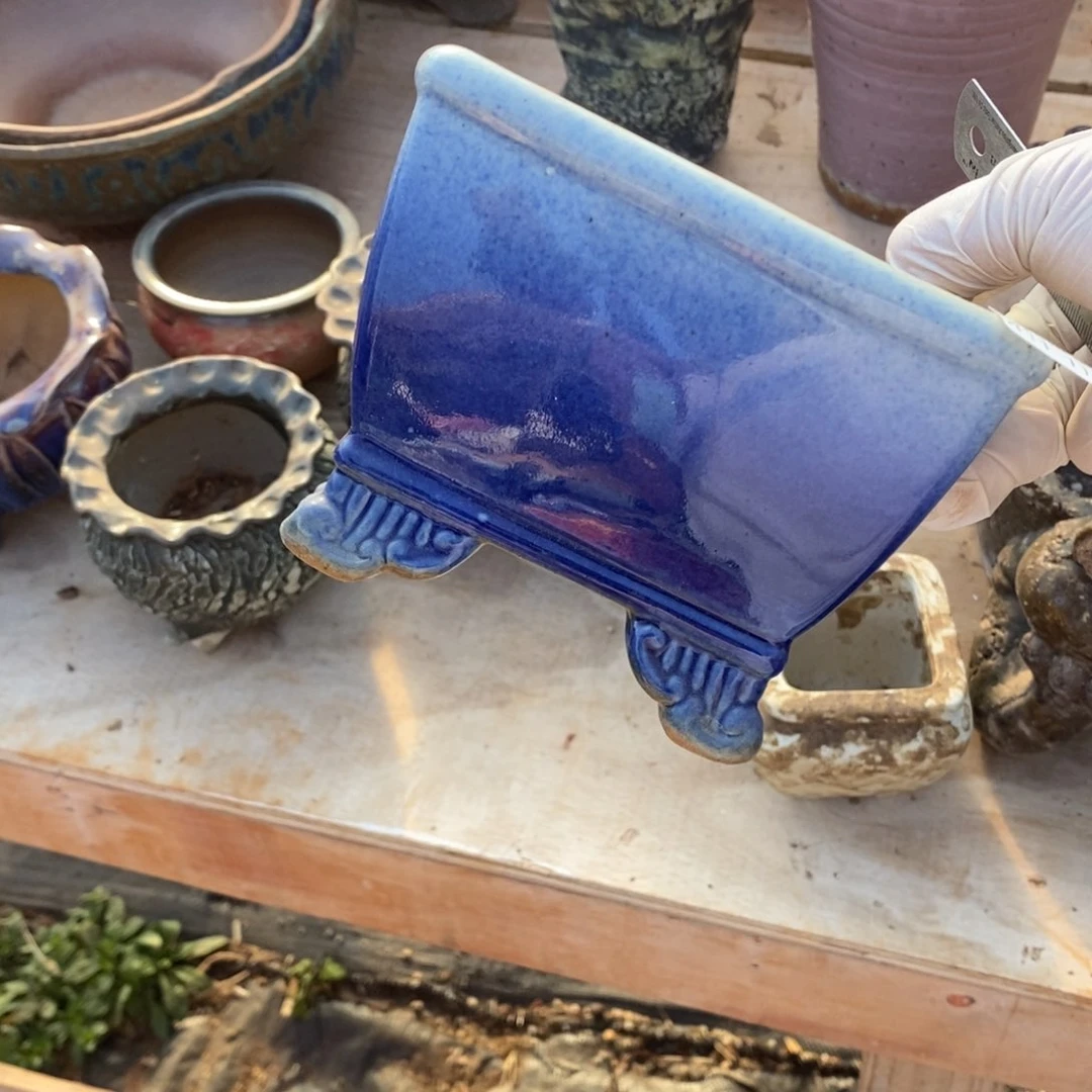 红陶往**烟114号多肉盆一个呀