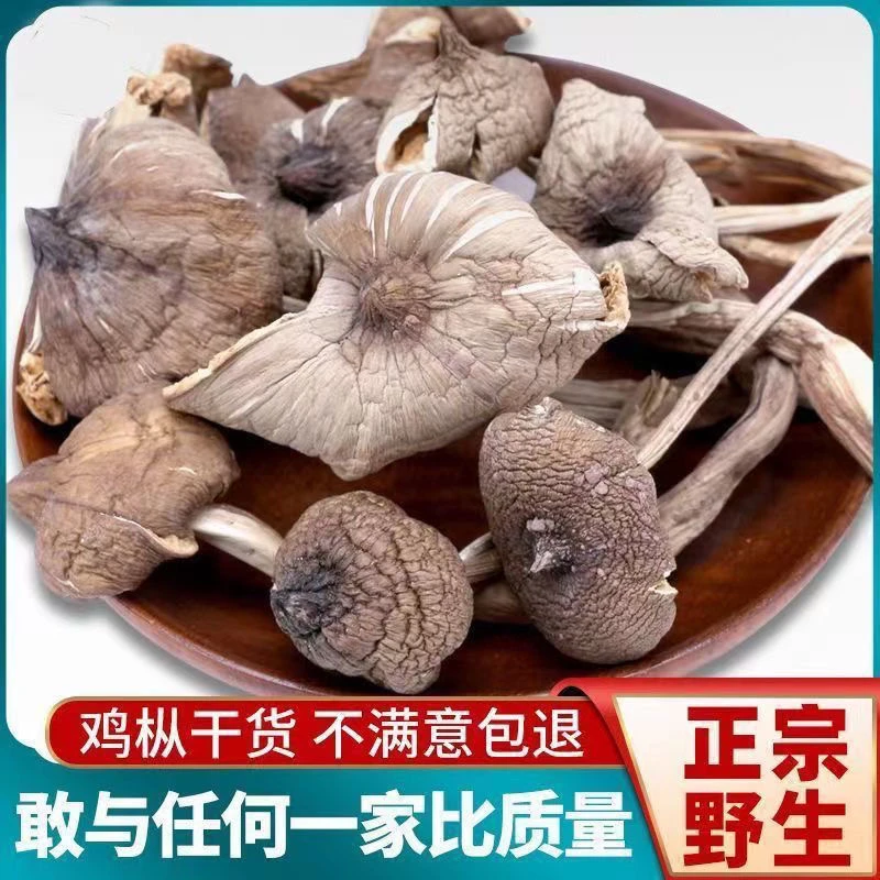 新货野生云南鸡枞菌干货批发火把新鲜鸡纵特产蘑菇野生菌煲汤鲜美