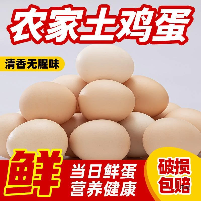 广宁潭布散养土鸡土鸡蛋新鲜现发