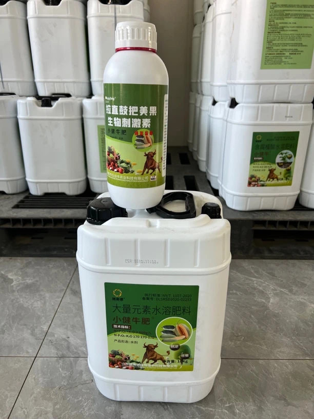 小健牛肥拉长顺直股把美果增产肥