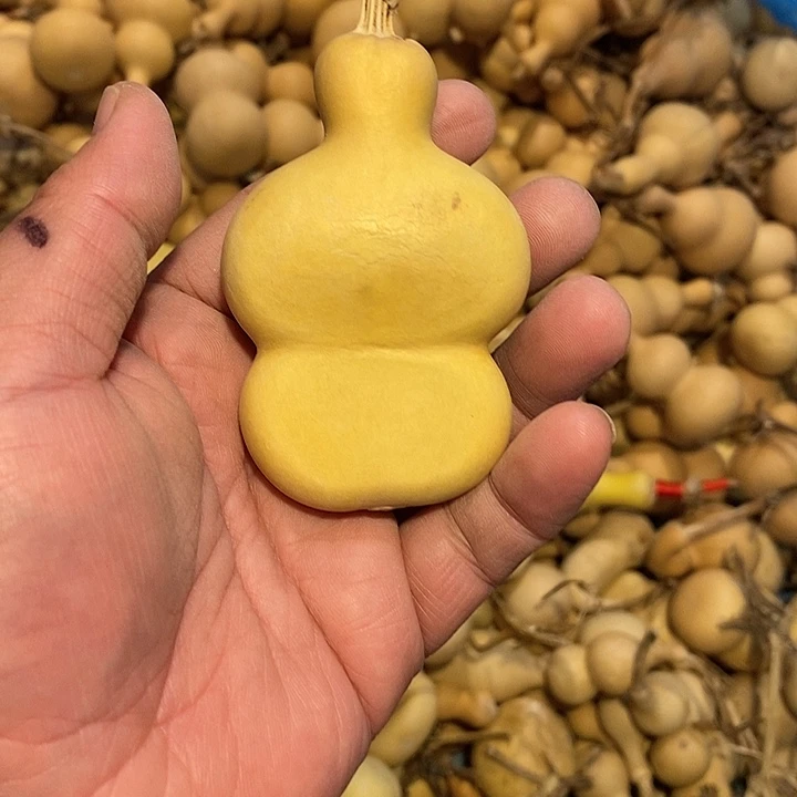 两***子精品葫芦手把葫芦42