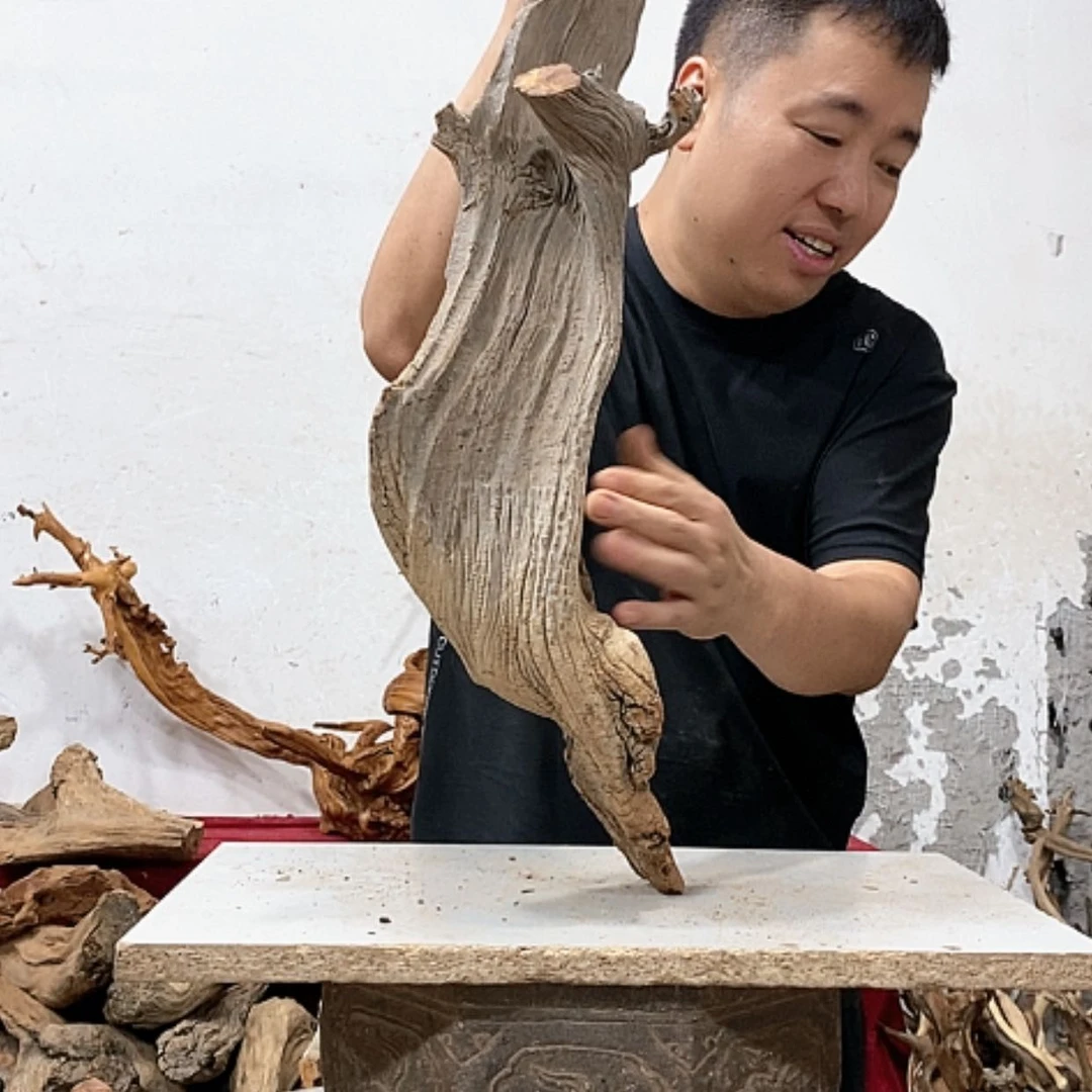 【闪购商品】柏木用****陈我们都是好孩子