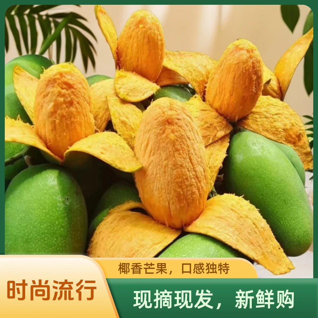 云南丽江华坪高山椰乡芒果，果肉奶香多汁