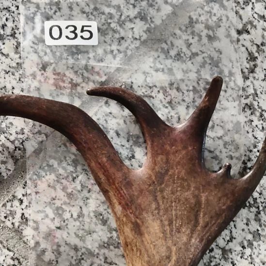 莱***门鹿角鹿角鹿角鹿角鹿角鹿角