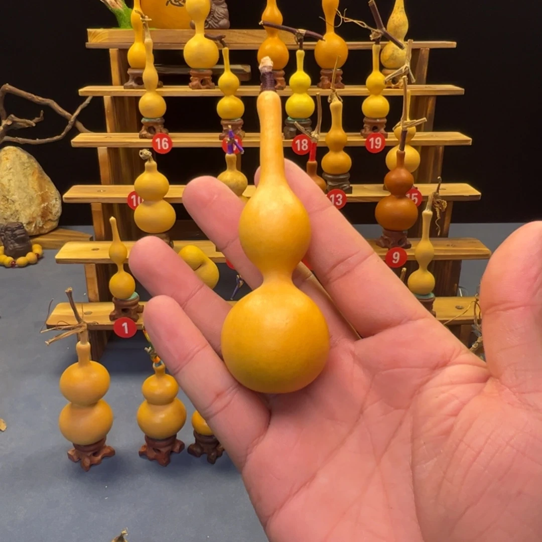 ****爷葫芦等多种颜色的花