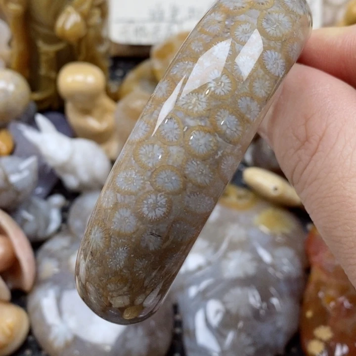 颈饰未镶嵌硅化珊瑚（珊瑚玉）