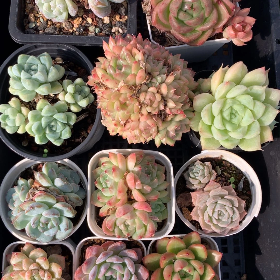 1112-09 套餐一组