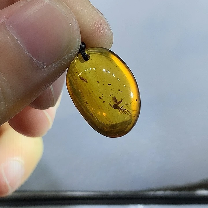 琥珀未镶嵌裸石羊角蚊手机挂