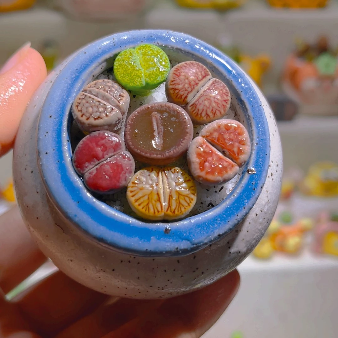 088高端多肉带盆带土手工盆