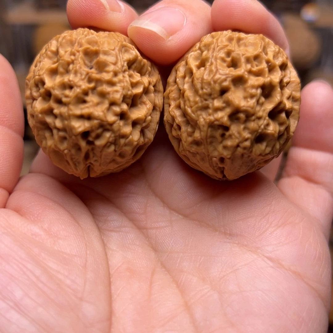 文玩核桃把件1w珊瑚纹绣球37尺