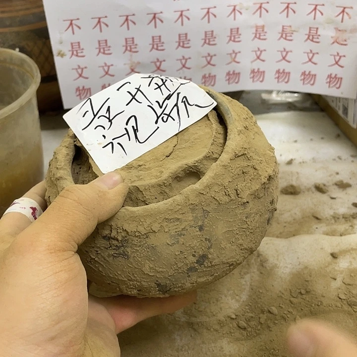 无非金属猎*猫一一一一一一一