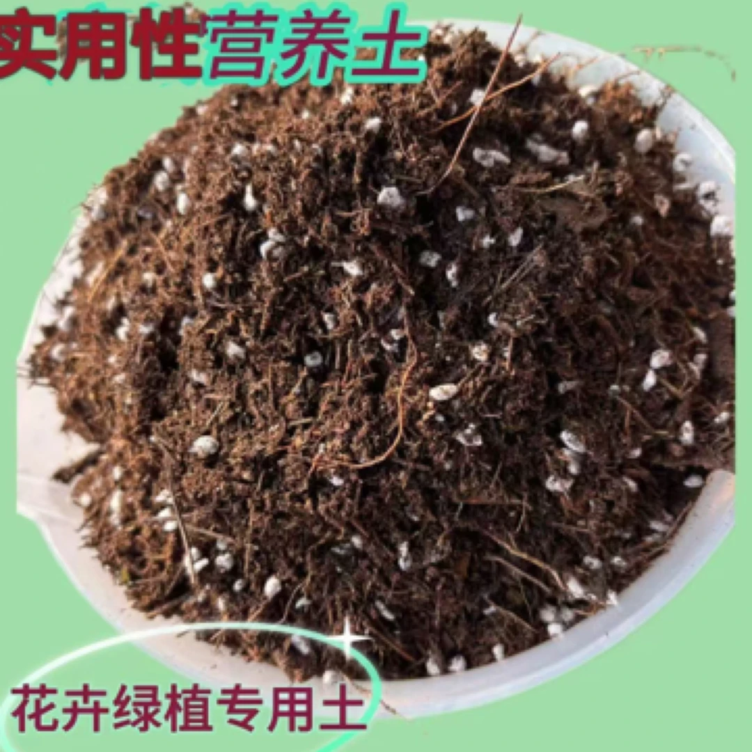 松针腐叶土通用型养花种菜育苗适用有机土壤