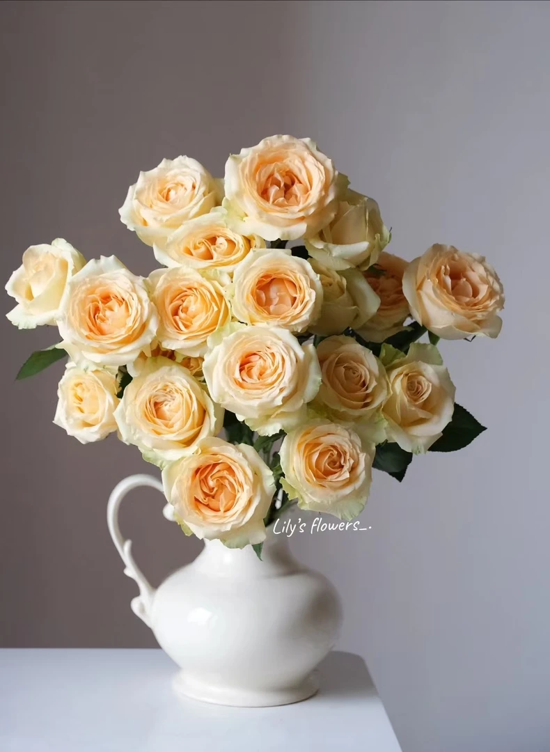 【香槟套餐】香槟+红色腊梅+重瓣紫罗兰+向日葵