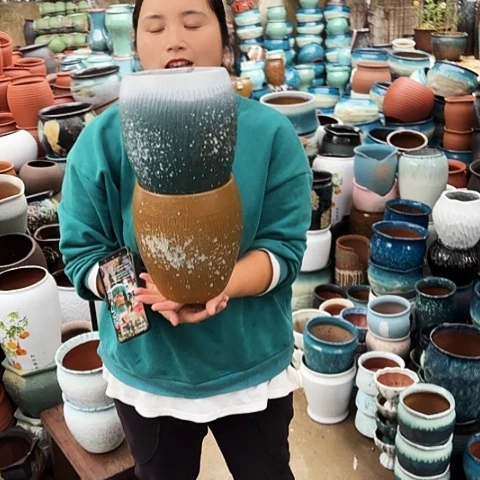 口16高20两个盆。