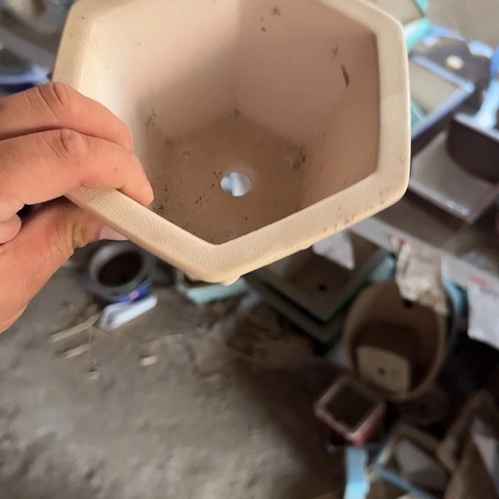 在干嘛的我也睡啦一