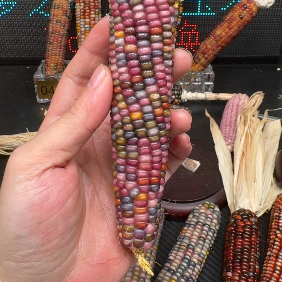 柏香籽/百香籽吊坠世****?