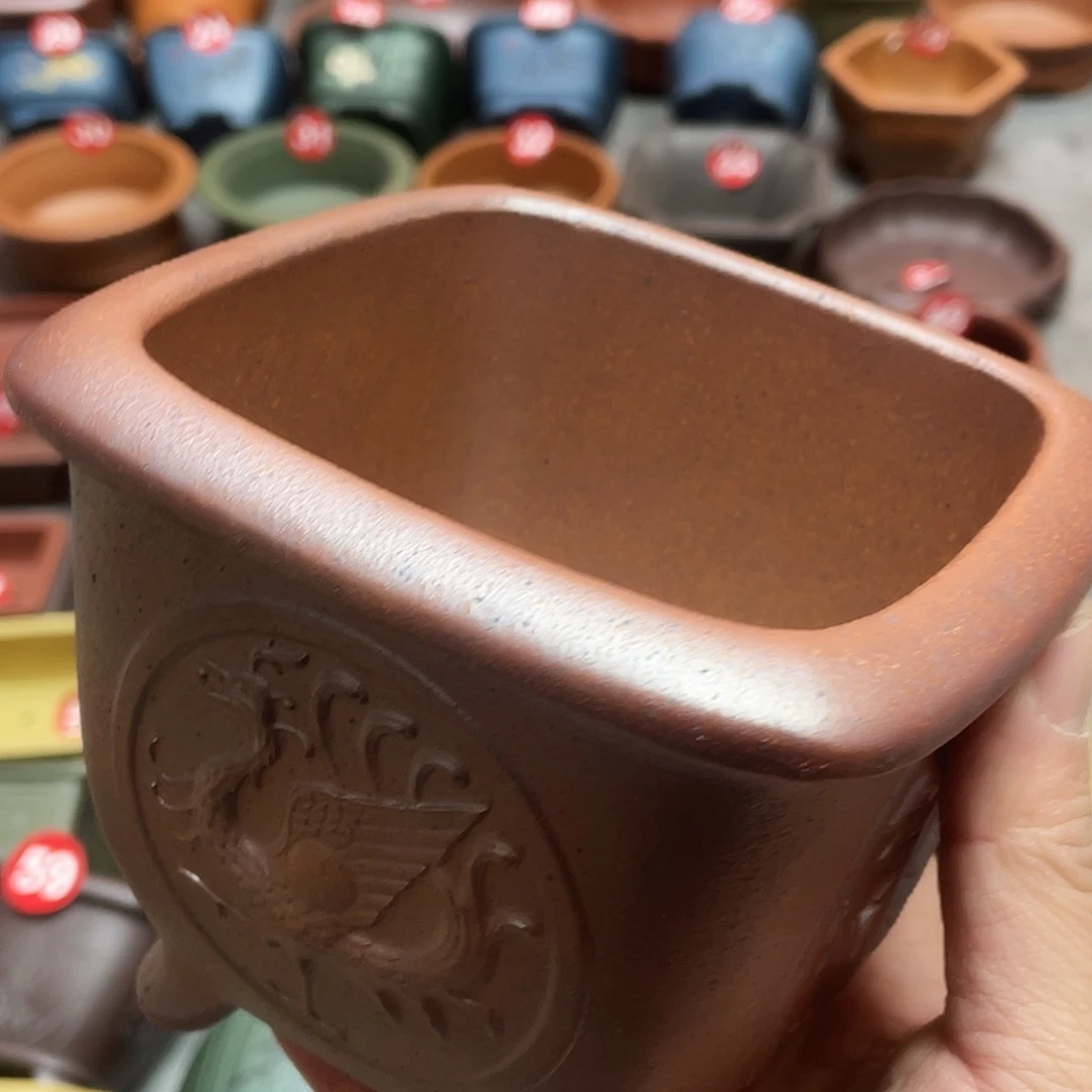 紫砂小盆10*8cmmmm