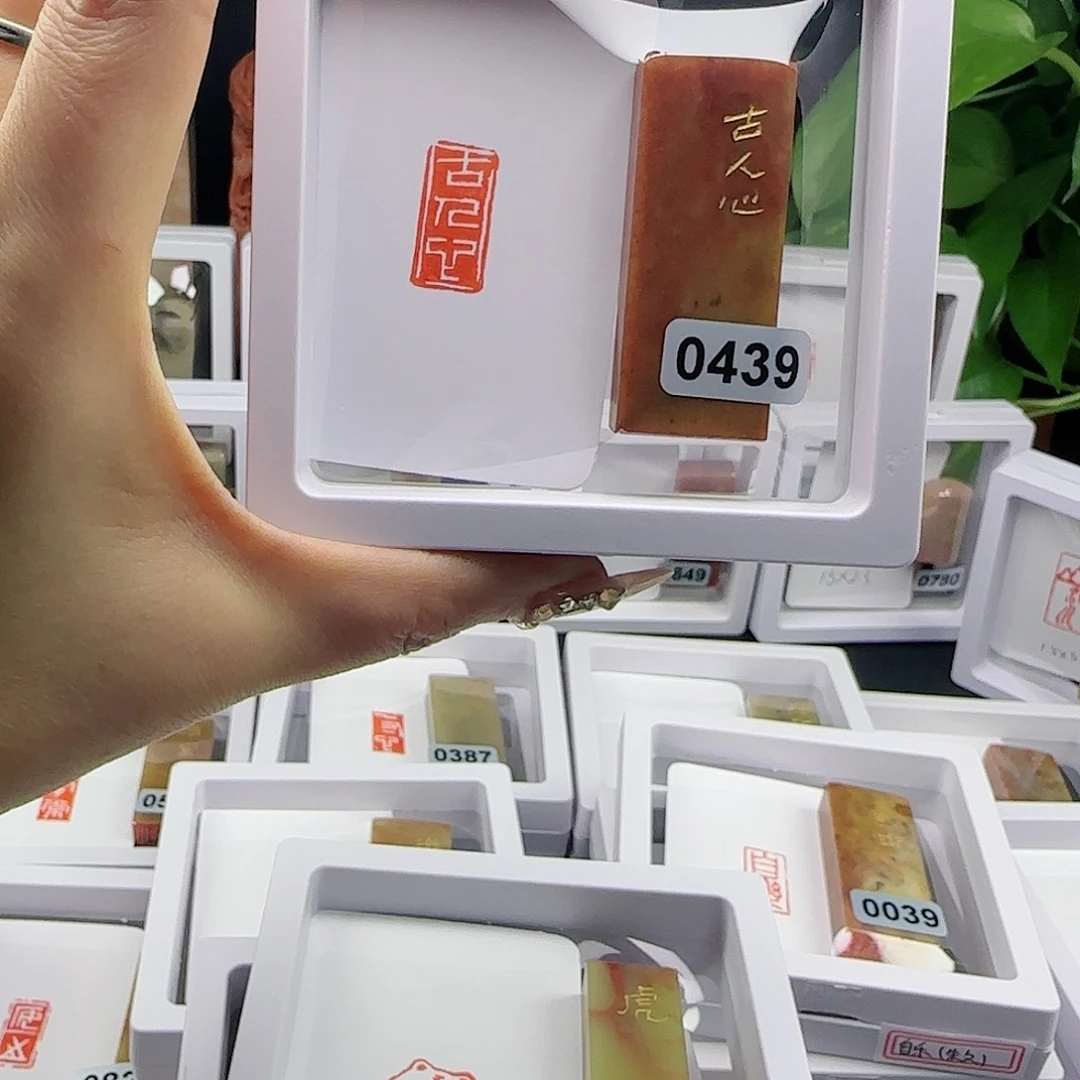 寿山石印石楚***书古人心游心无欲般若无恙天行健