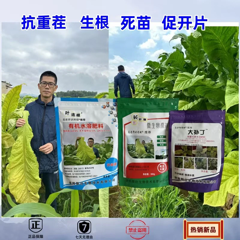 【高老师专属】叶连根组合 抗重茬黑胫根腐 叶连根➕长好烟➕大补丁