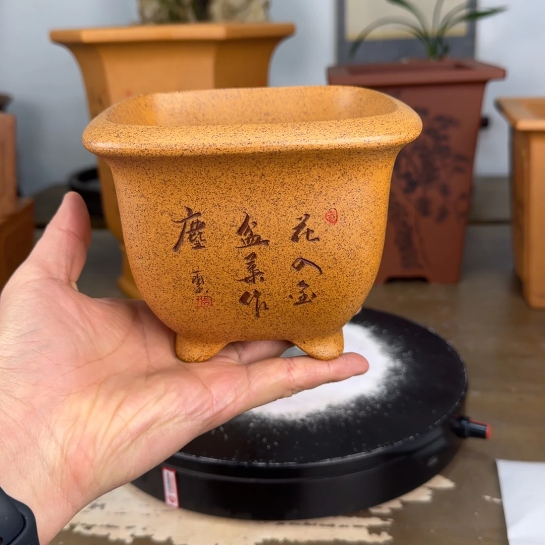 紫砂花盆紫砂花盆11.5-9