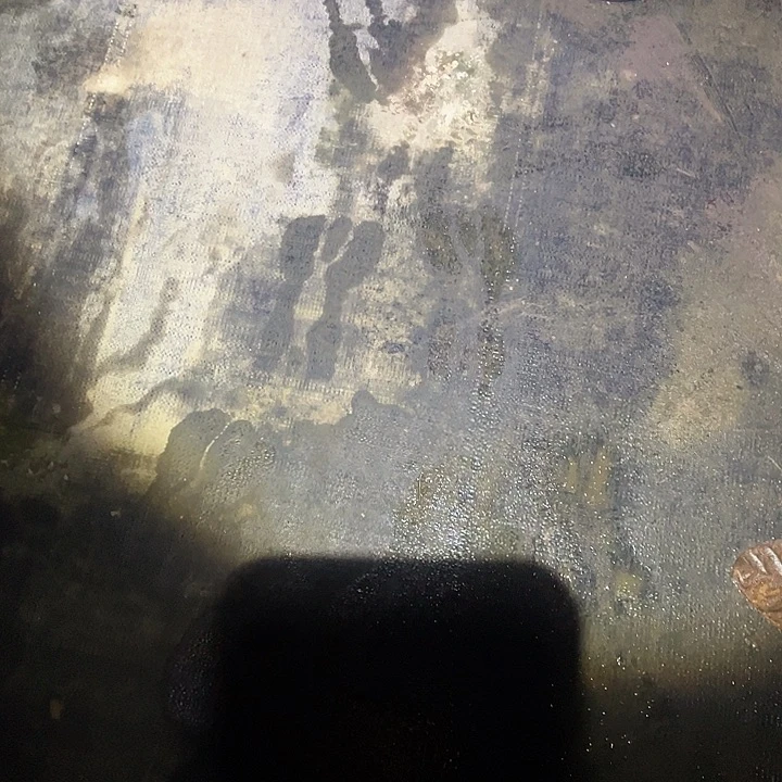 小***.金钻凤梨2695489389488598