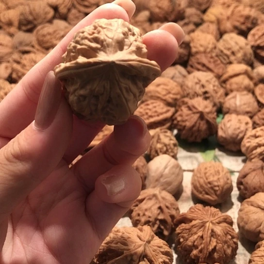 桃核吊坠有*年核桃