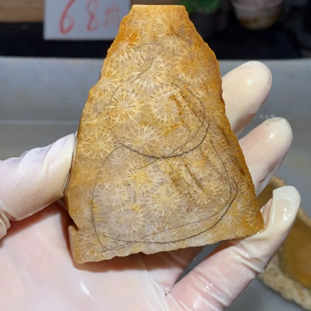 【闪购商品】硅化玉珊瑚玉未镶嵌