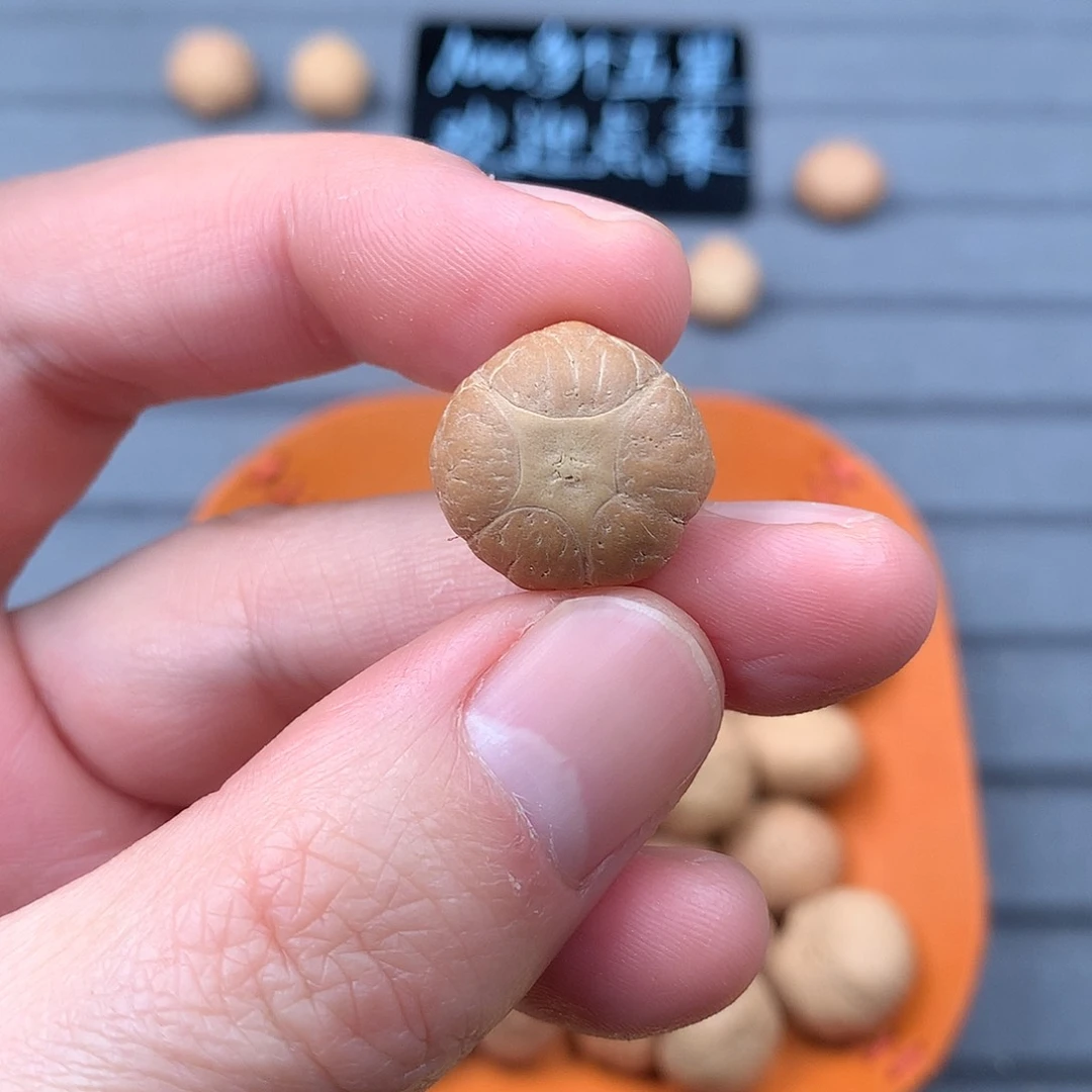 吊坠凤眼菩提18+五星，非质量问题开孔不退