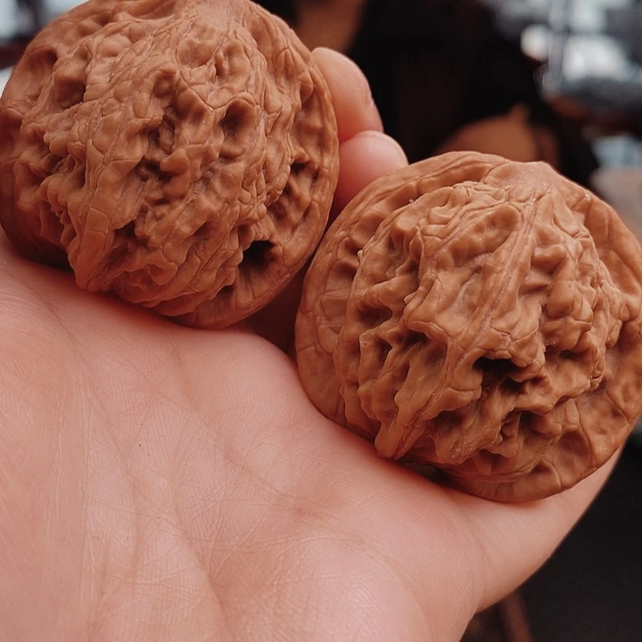 核桃47尺虎头核桃