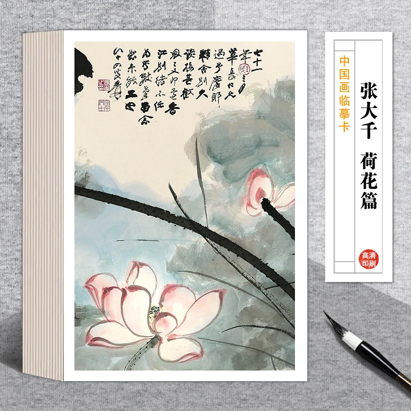 国画临摹卡张大千荷花篇中国水墨画绘画入门培训单片高清印刷32张