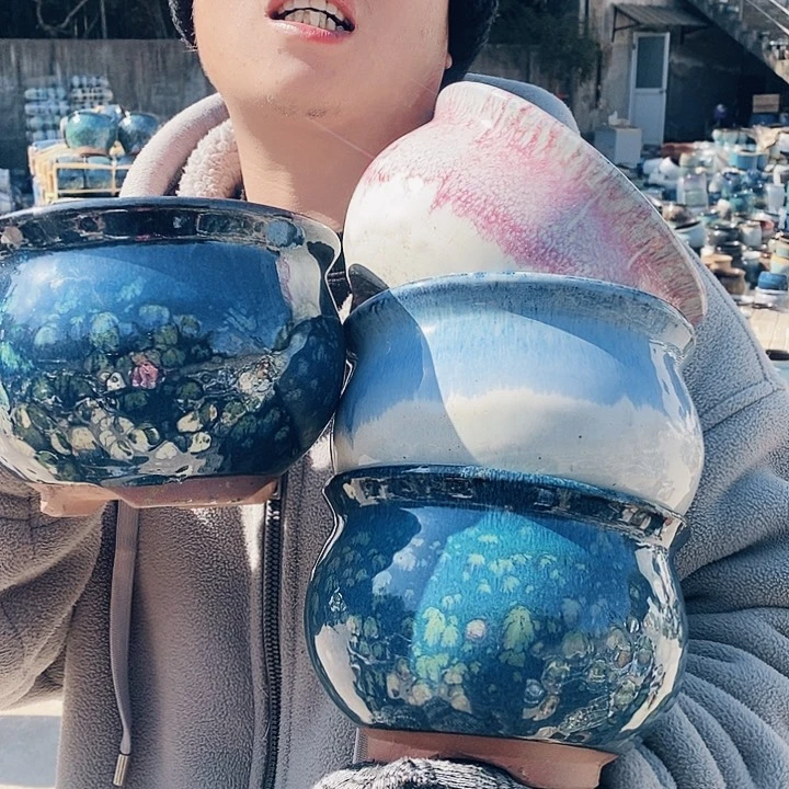 红陶正品抓紧去拍