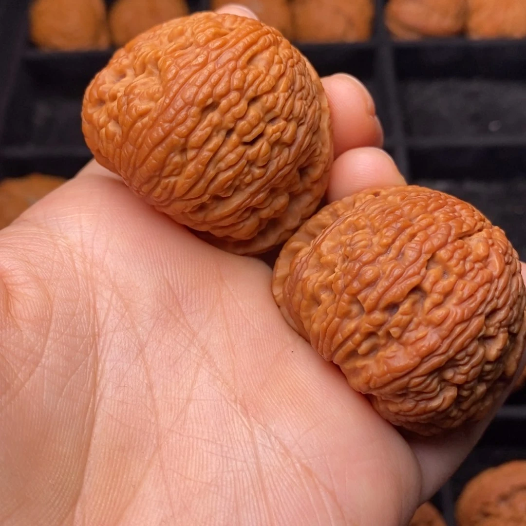 文玩核桃把件秦岭野生核桃