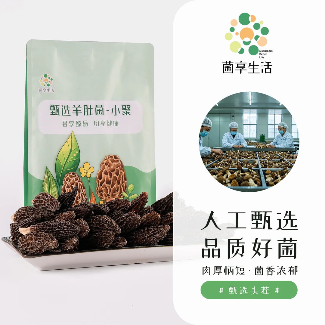 菌享生活优质云南野外高山种植头茬肉厚儿童羊肚菌干货纯新货菌菇