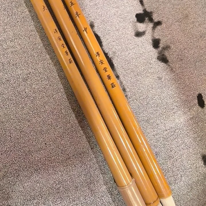 淳安堂五紫五羊大中小三支