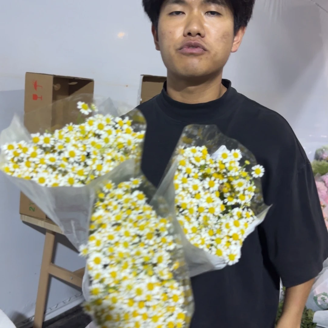 洋甘菊3扎包邮价秒杀