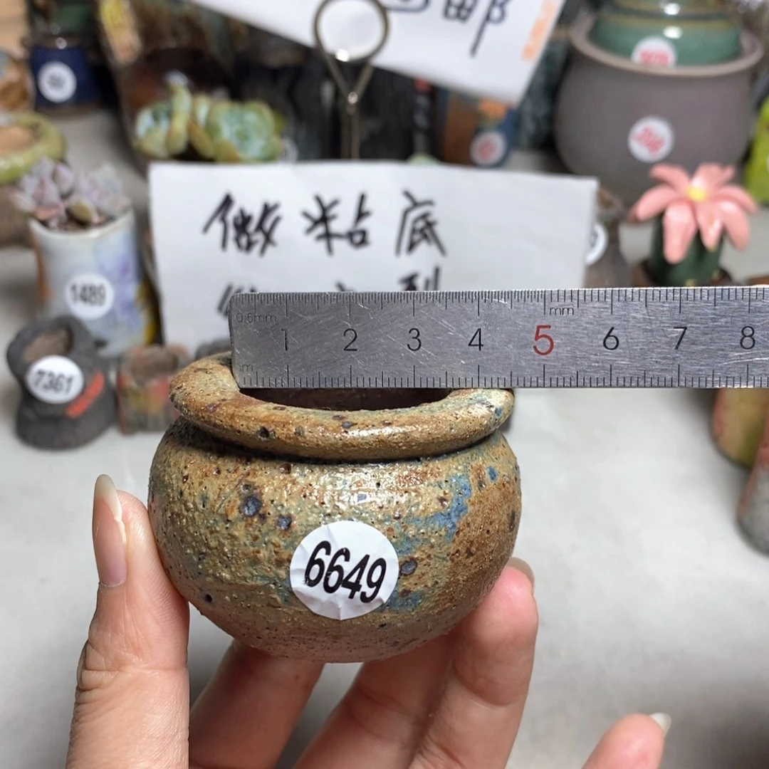 拍5送一个小礼物