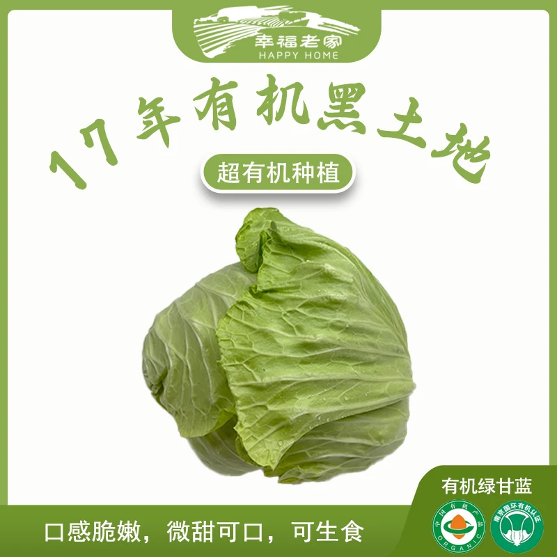 幸福老家有机绿甘蓝1斤口感脆嫩微甜安全营养健康无农残农场直发